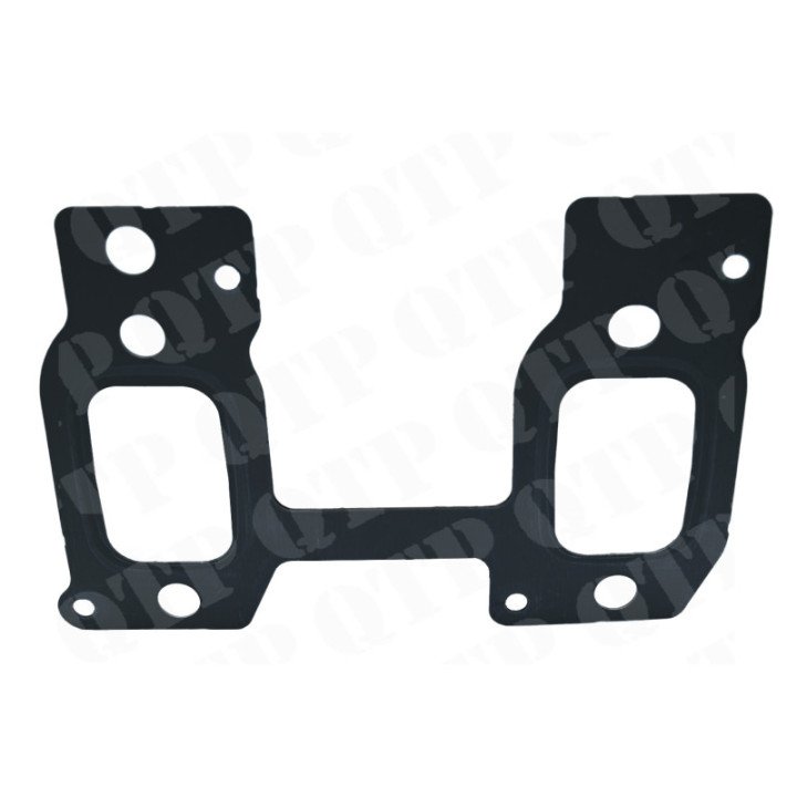 Exhaust Gasket (F743200100020)