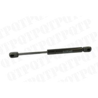 Gas Strut Door