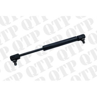 Door Strut