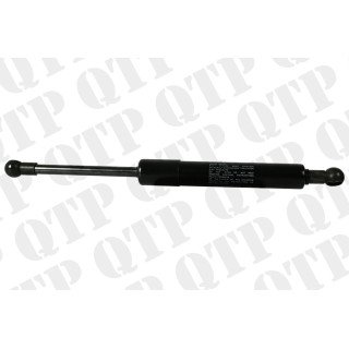 Gas Strut Door