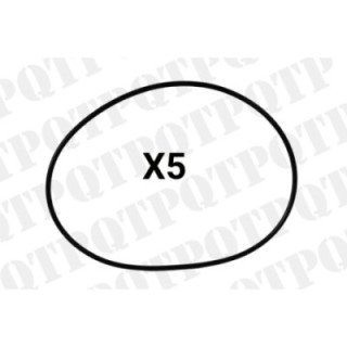 O-Ring (Pack de 5)