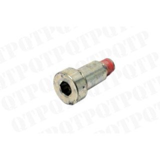 Brake Piston Mounting Screw