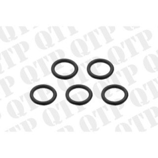 O-Ring Turbocharger (Pack de 5)